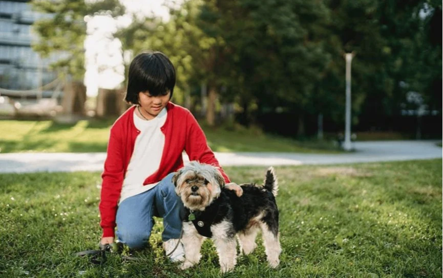 Taking care of furry family members in Wyndham