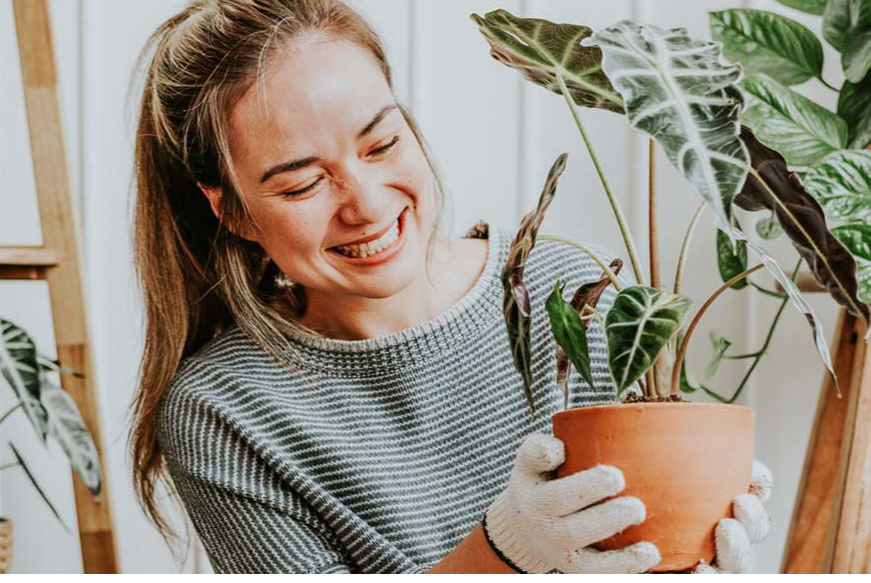 What to do with your investment property’s garden